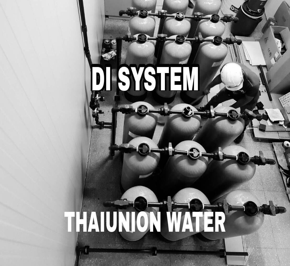 เครื่องกรองน้ำระบบ DI Dionized Water