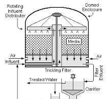 ระบบบำบัดน้ำเสียแบบ Trickling Filter (บางครั้งสะกดว่า "Trickling" แต่มีคนเรียกผิดเป็น "Thickling") เป็นระบบบำบัดน้ำเสียแบบชีวภาพที่ใช้อากาศร่วม โดยมีจุดเด่นคือการใช้จุลินทรีย์ที่เกาะอยู่บนวัสดุกรอง