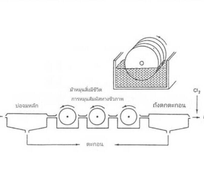 ระบบจานหมุนชีวภาพ (Rotating Biological Contactor หรือ RBC)เป็นหนึ่งในกระบวนการบำบัดน้ำเสียแบบชีวภาพที่ใช้หลักการ ฟิล์มชีวภาพ (Biofilm) ซึ่งแบคทีเรียที่เกาะอยู่บนพื้นผิวของจานหมุนจะช่วยย่อยสลาย